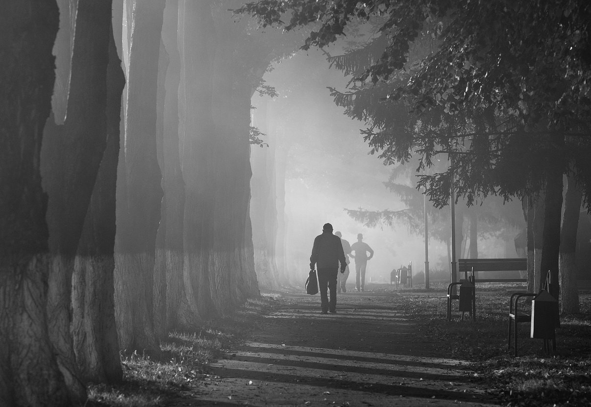 Перспективный кадр