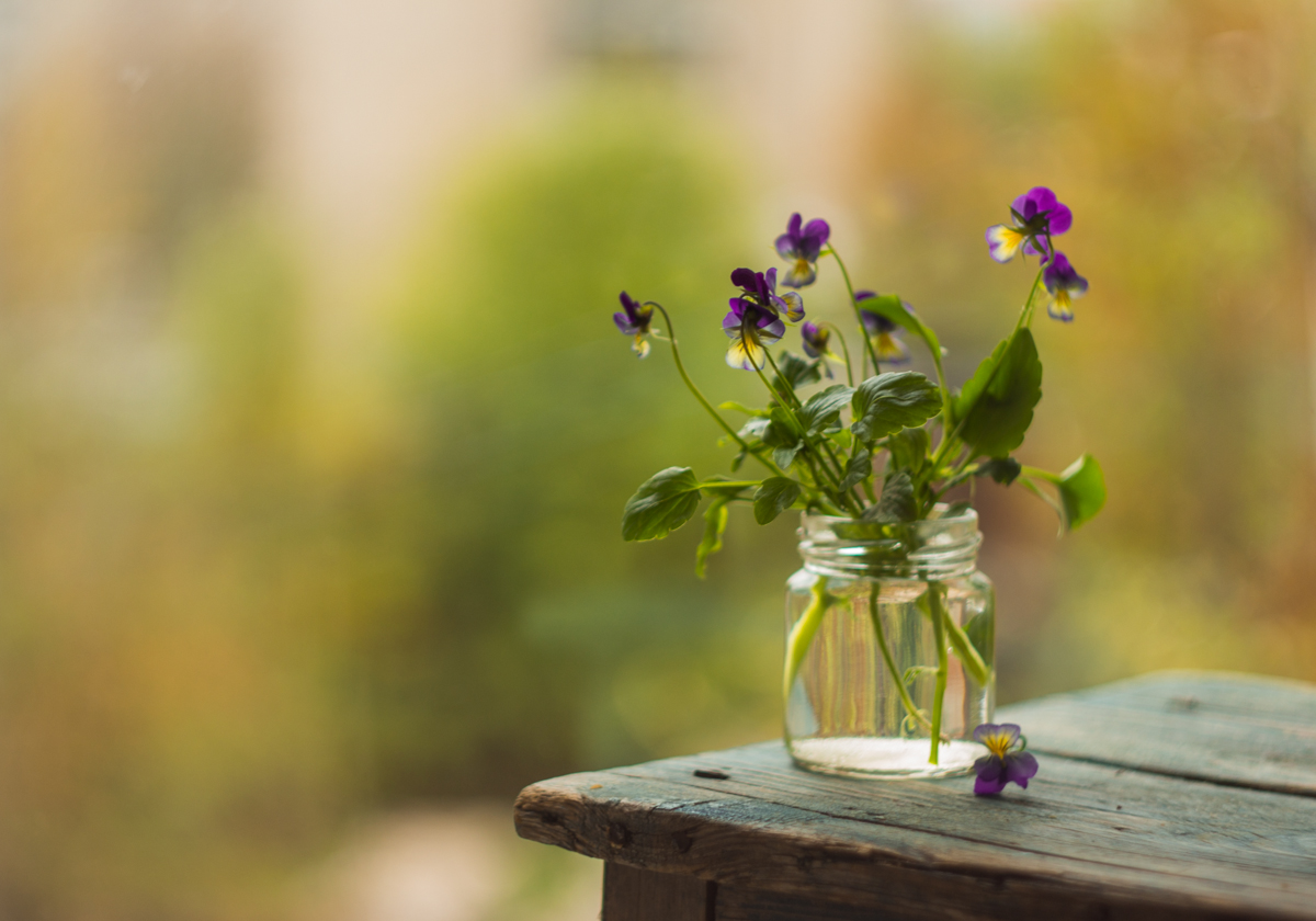 Цветы в октябре