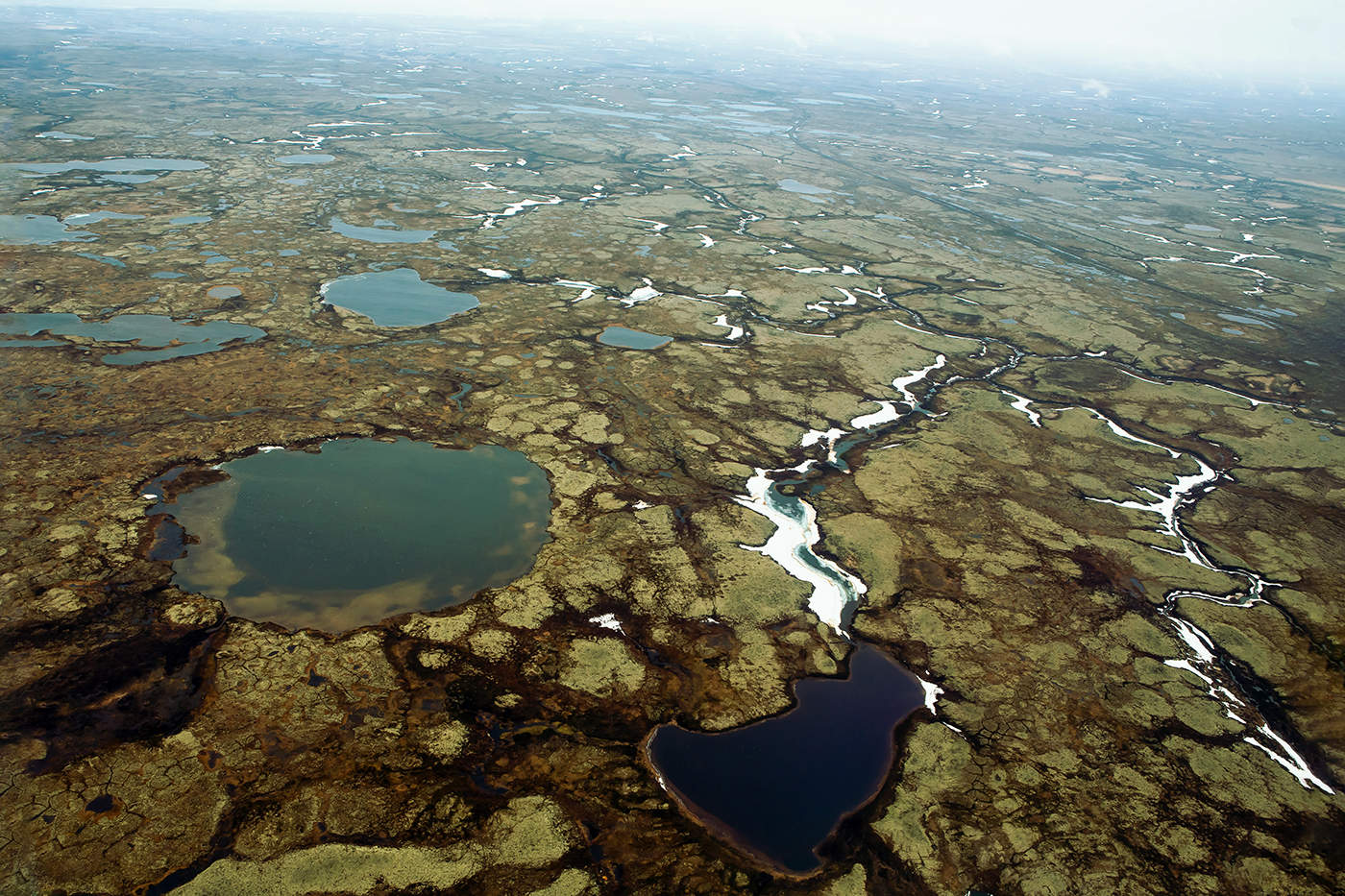 Перспективный кадр
