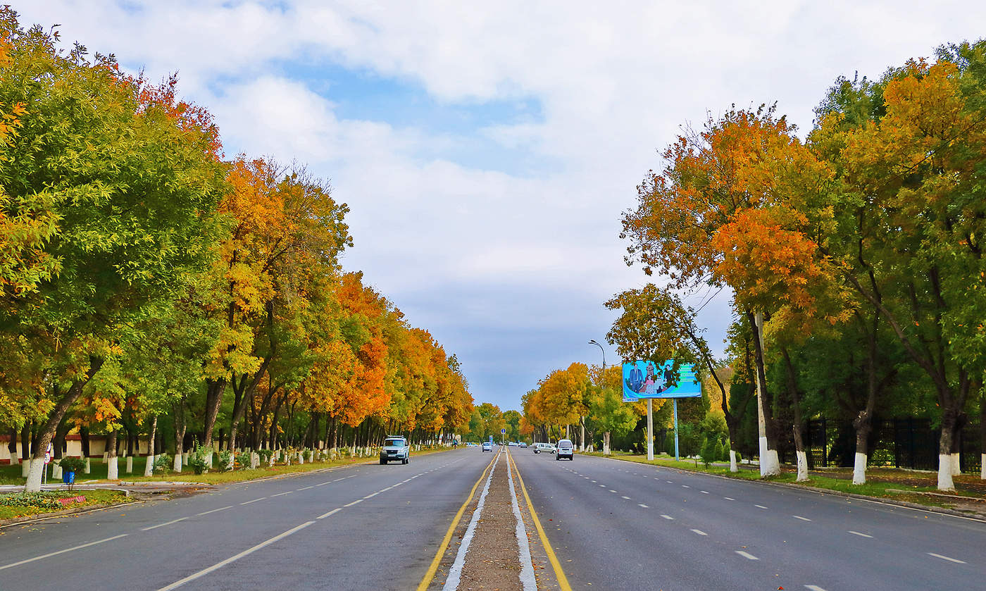 Перспективный кадр