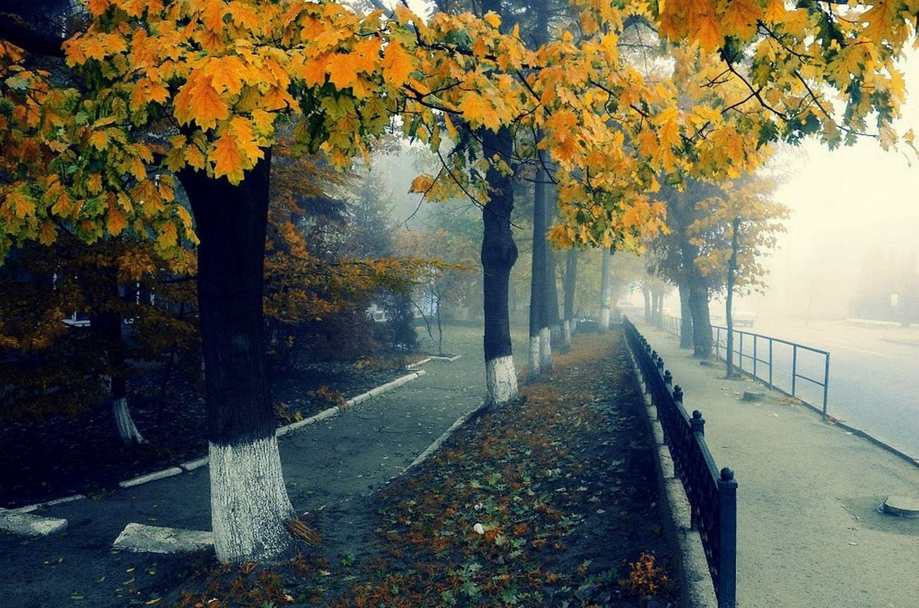 Очень в городе