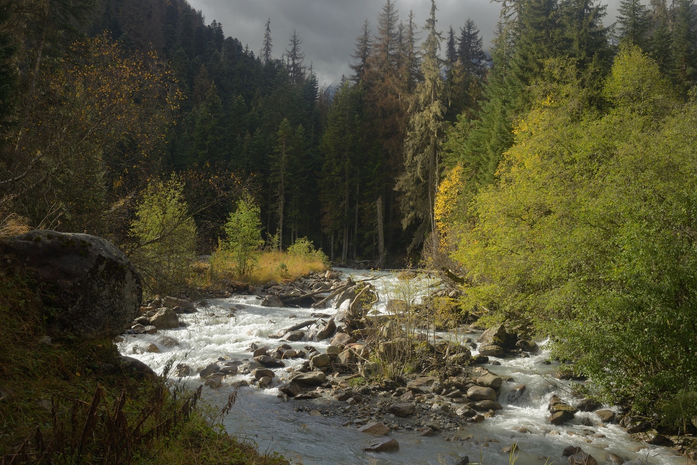 Осеннее утро