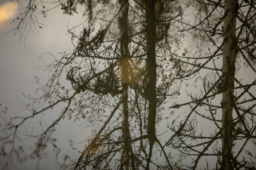 Перспективный кадр