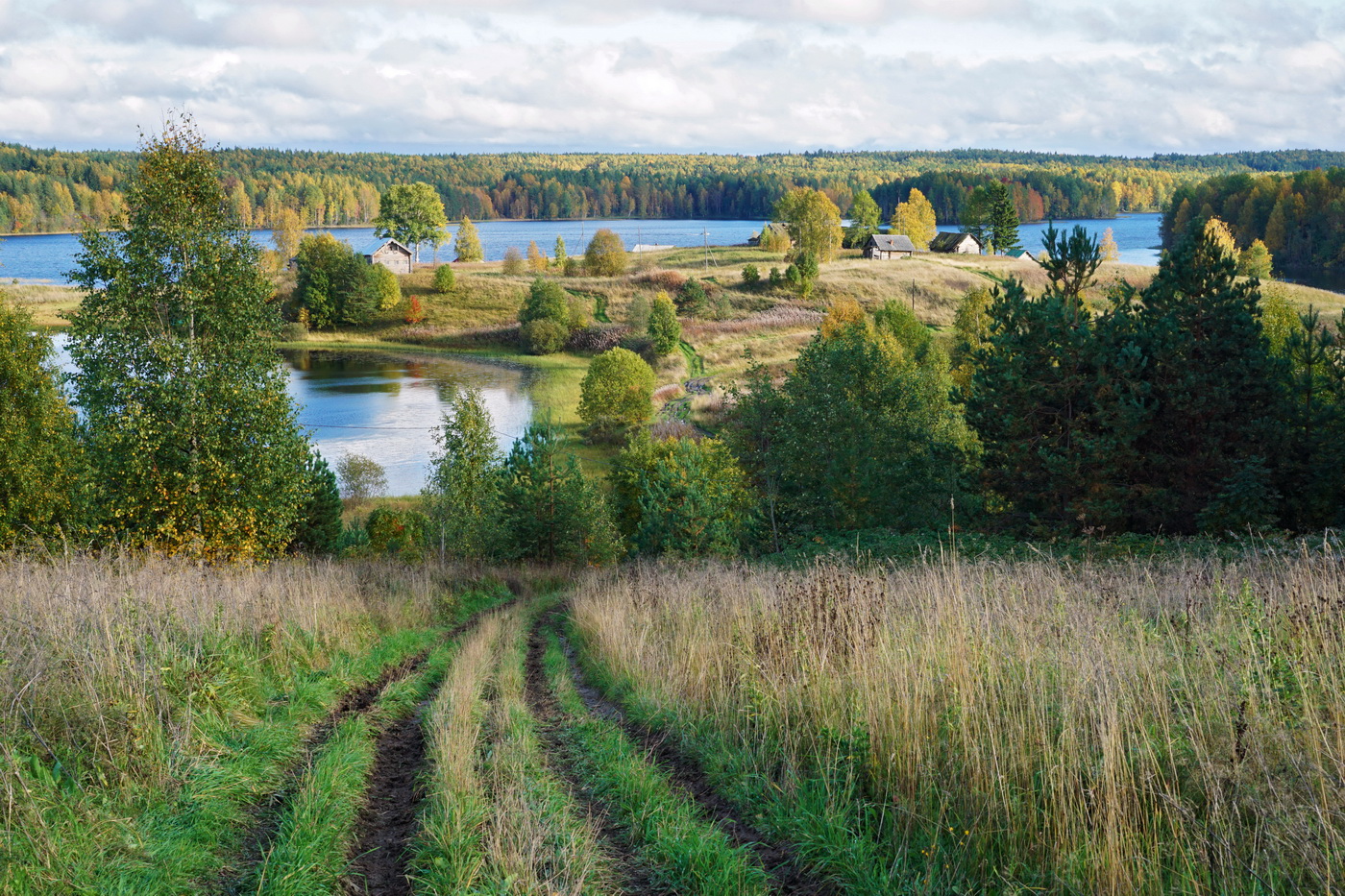 Перспективный кадр