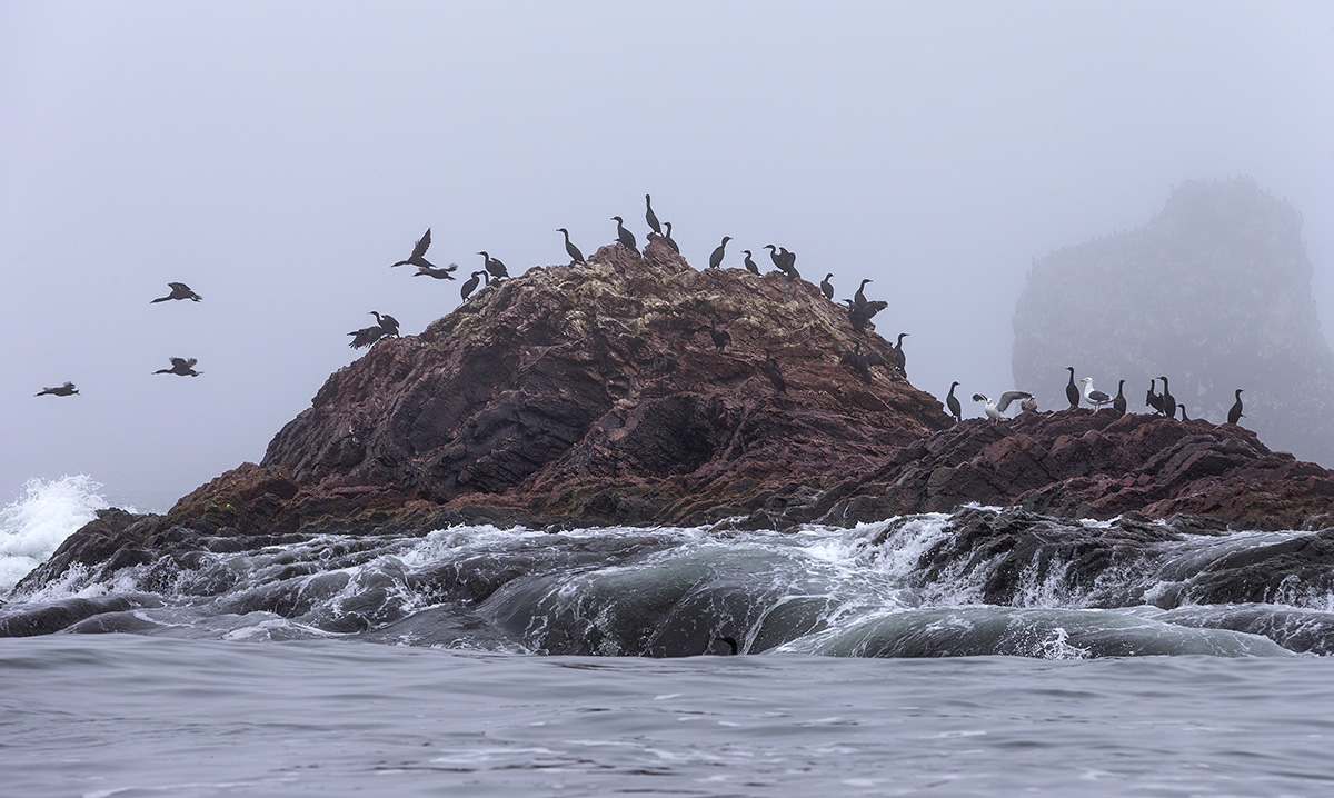 На острове...