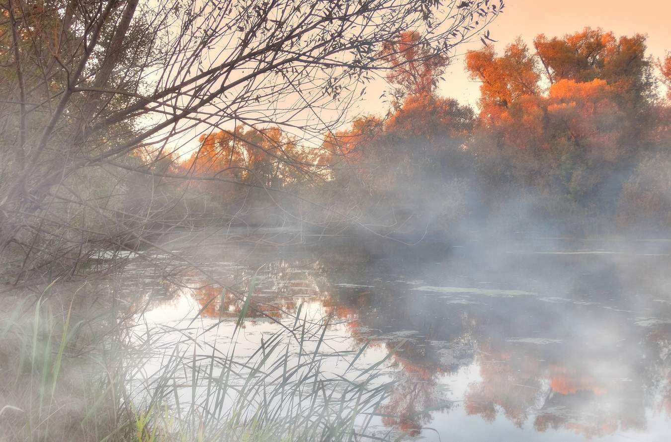 Осенним вечером опустился туман