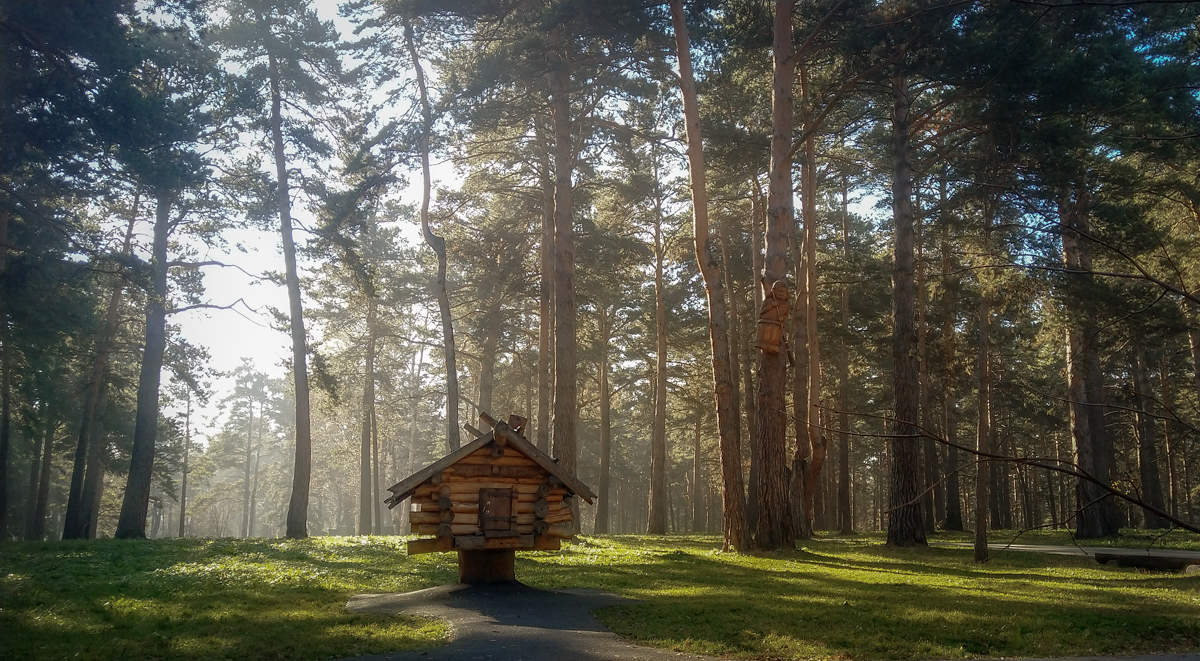 Избушка в лесу