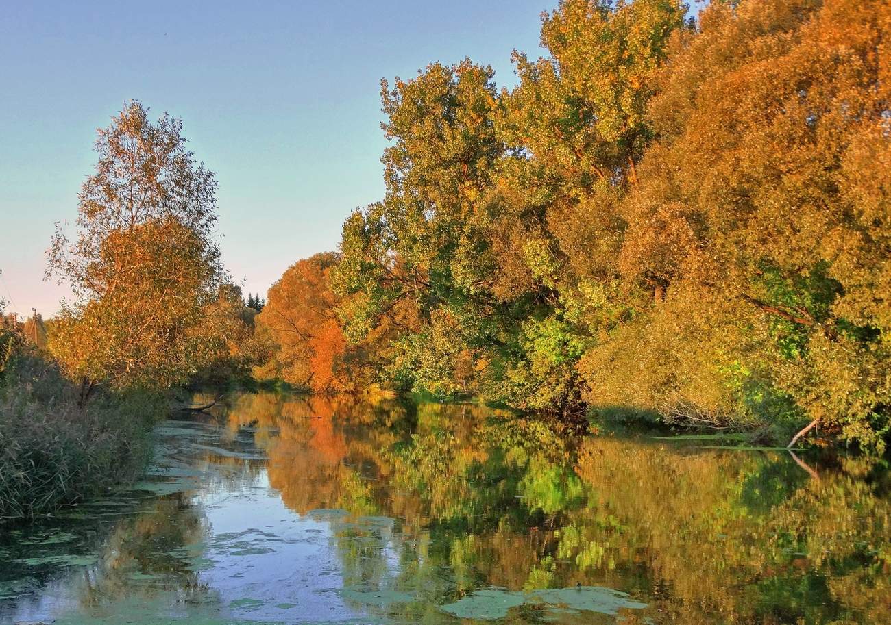 Осенняя палитра