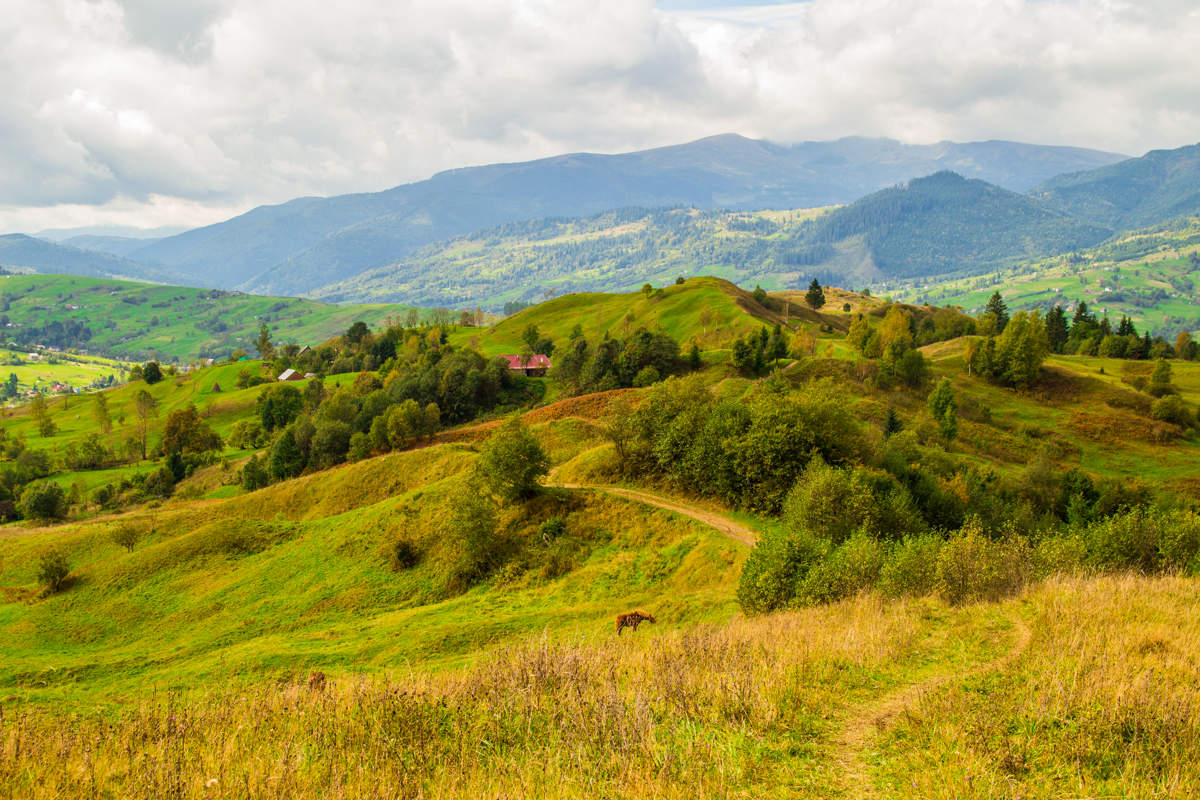 пейзажи Закарпатья