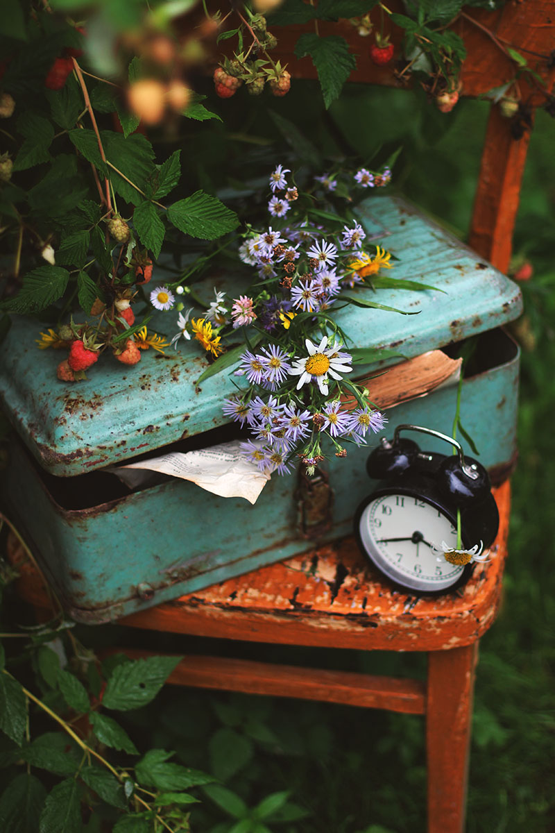 Это лето запомнится летом...