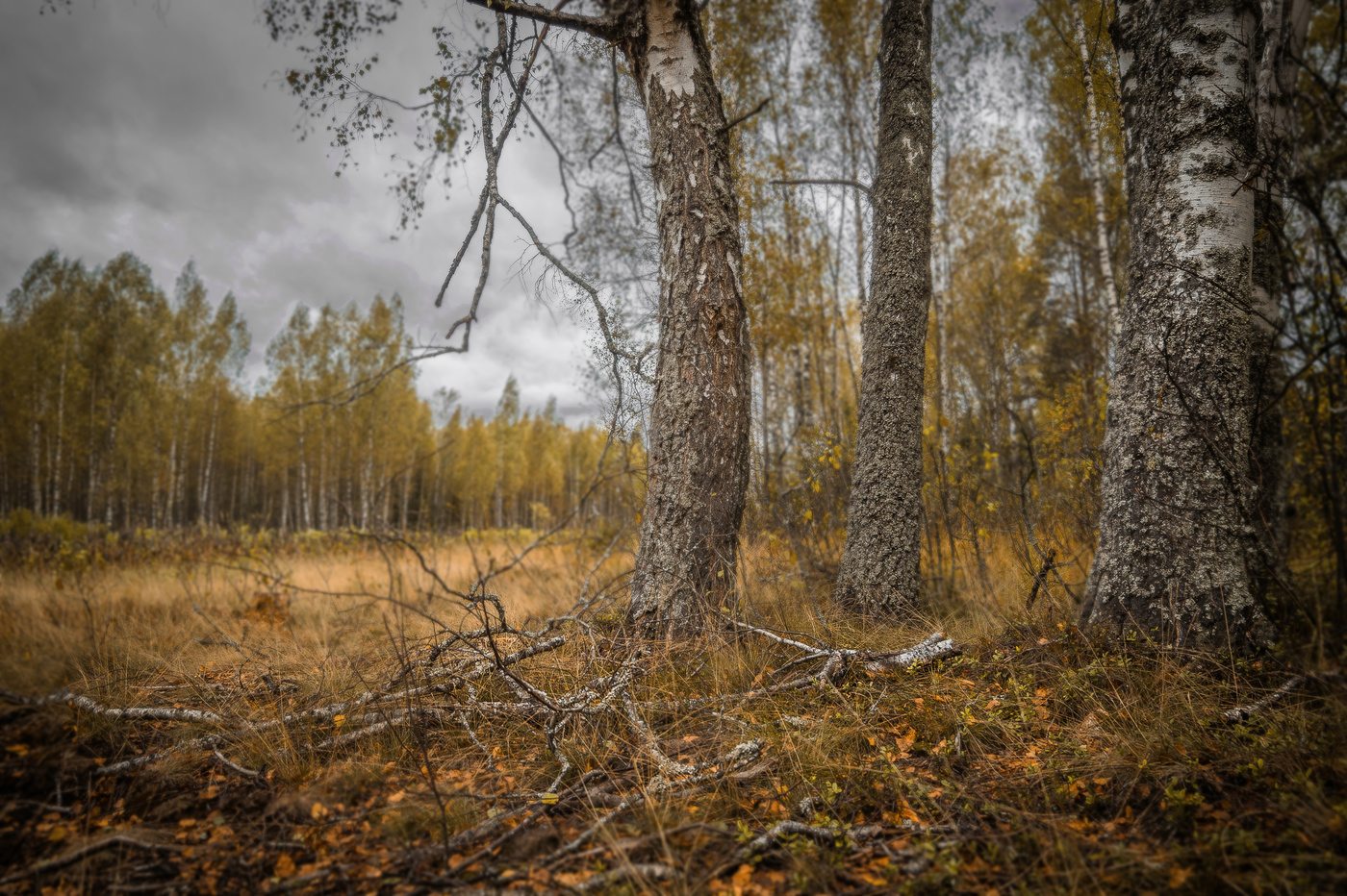 в воскресенье была осень..