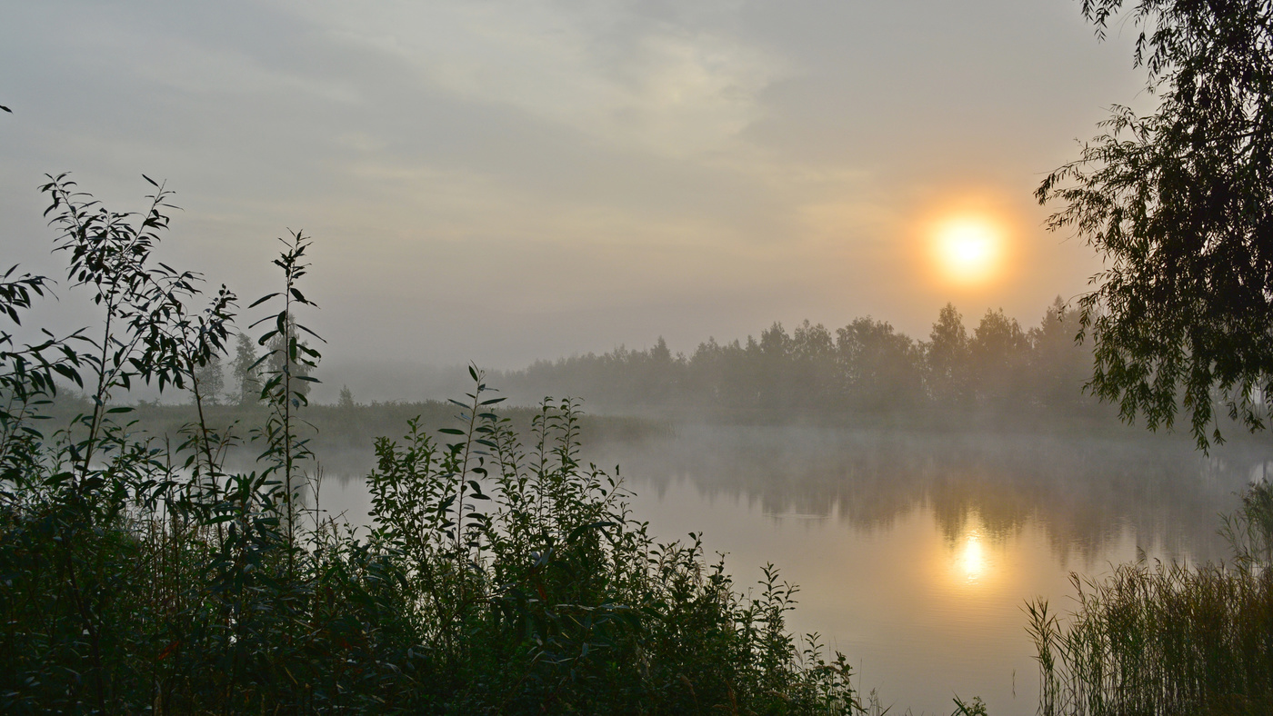 Осенним утром..