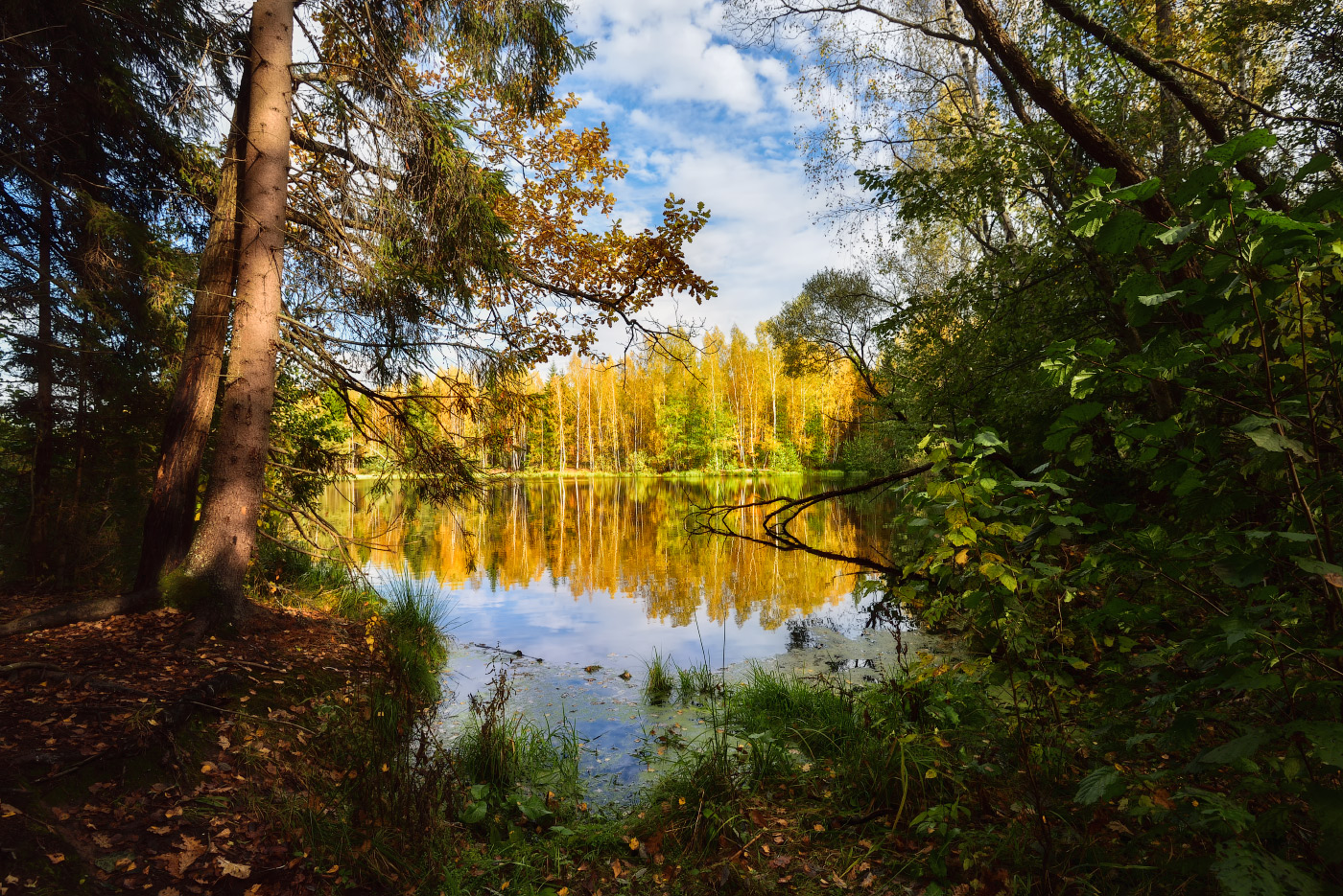окно в осень