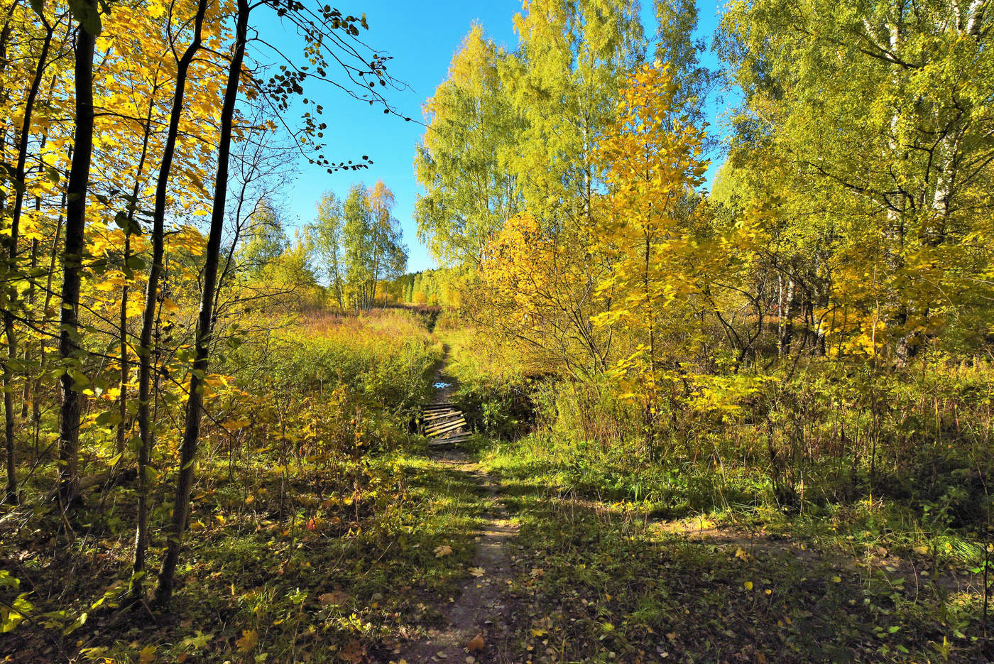 "Вот и осень, отшумело лето ..."