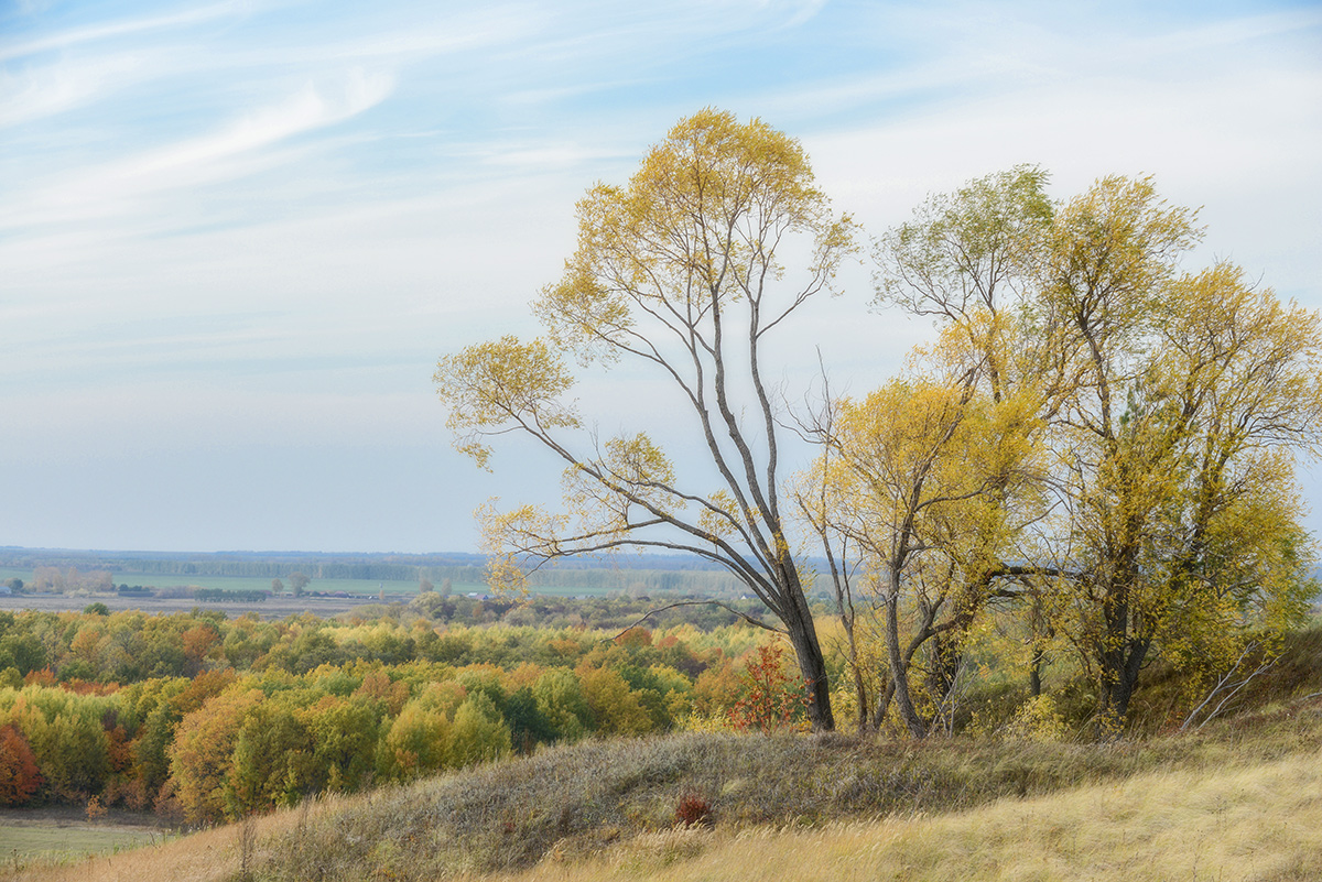 Про осень...