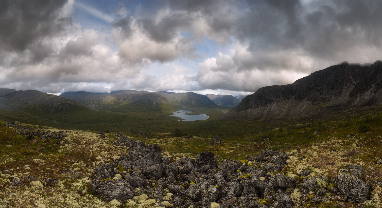 Северных лугов просторы...