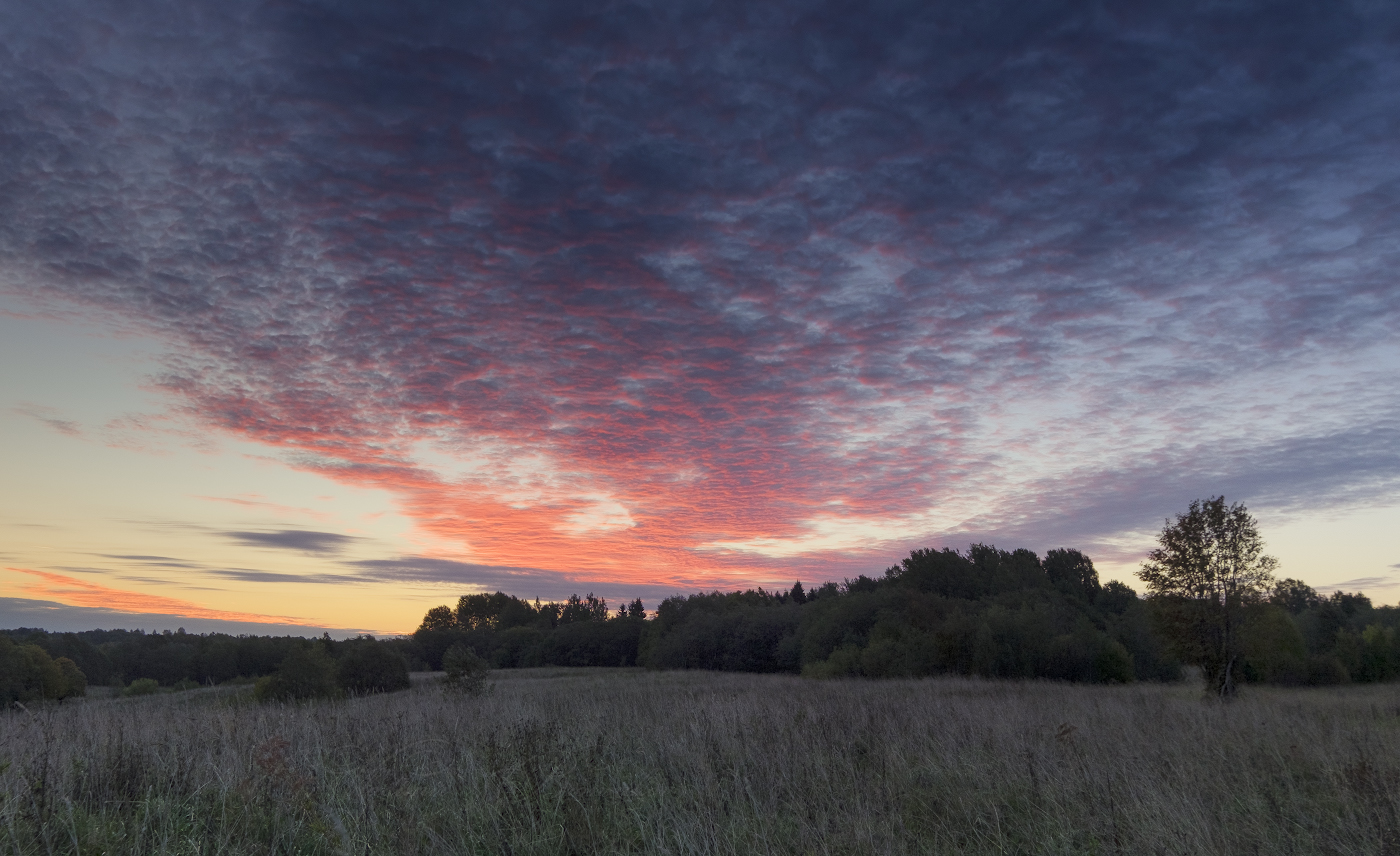 Румяной зарёю покрылся восток.