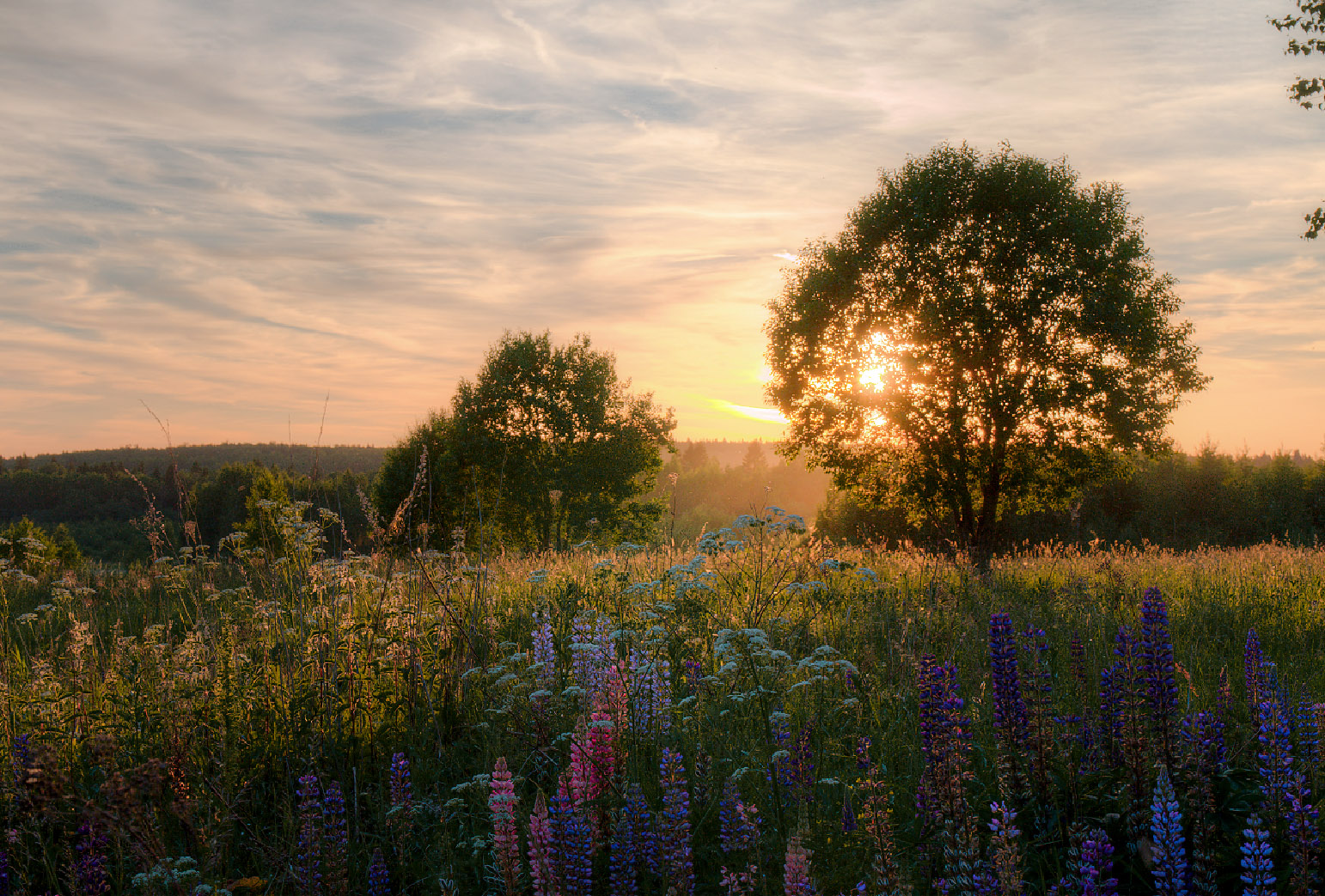 ...мимо проходил...