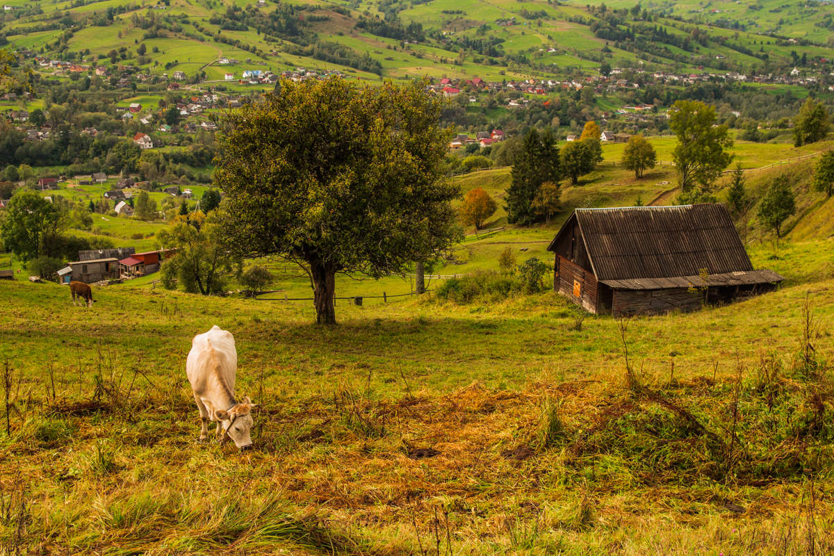 прогулки по окрестностям