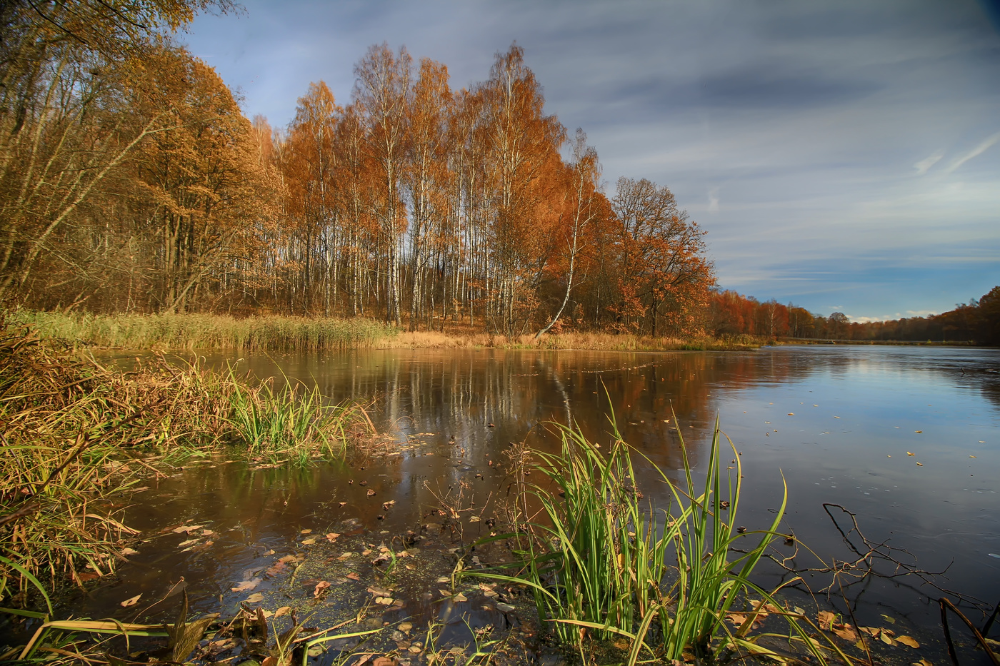 Осень рыжая подружка...