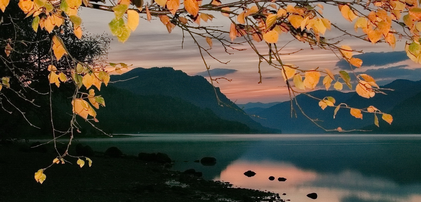 *Утренний этюд.**