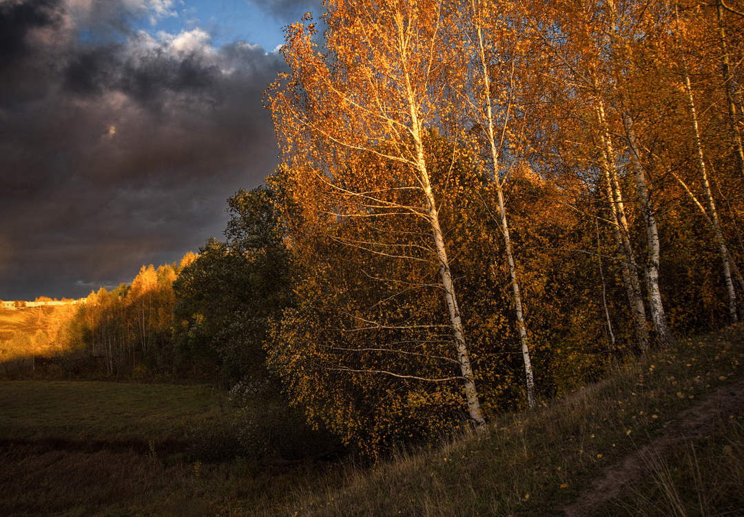 Осень. Золотые одежды.
