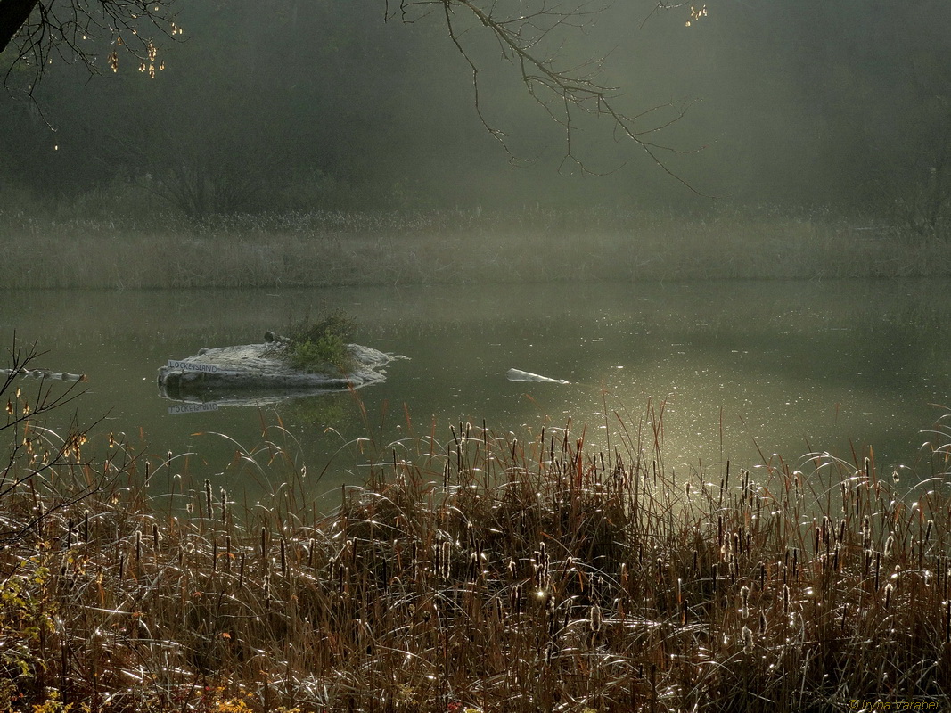 Запах осени