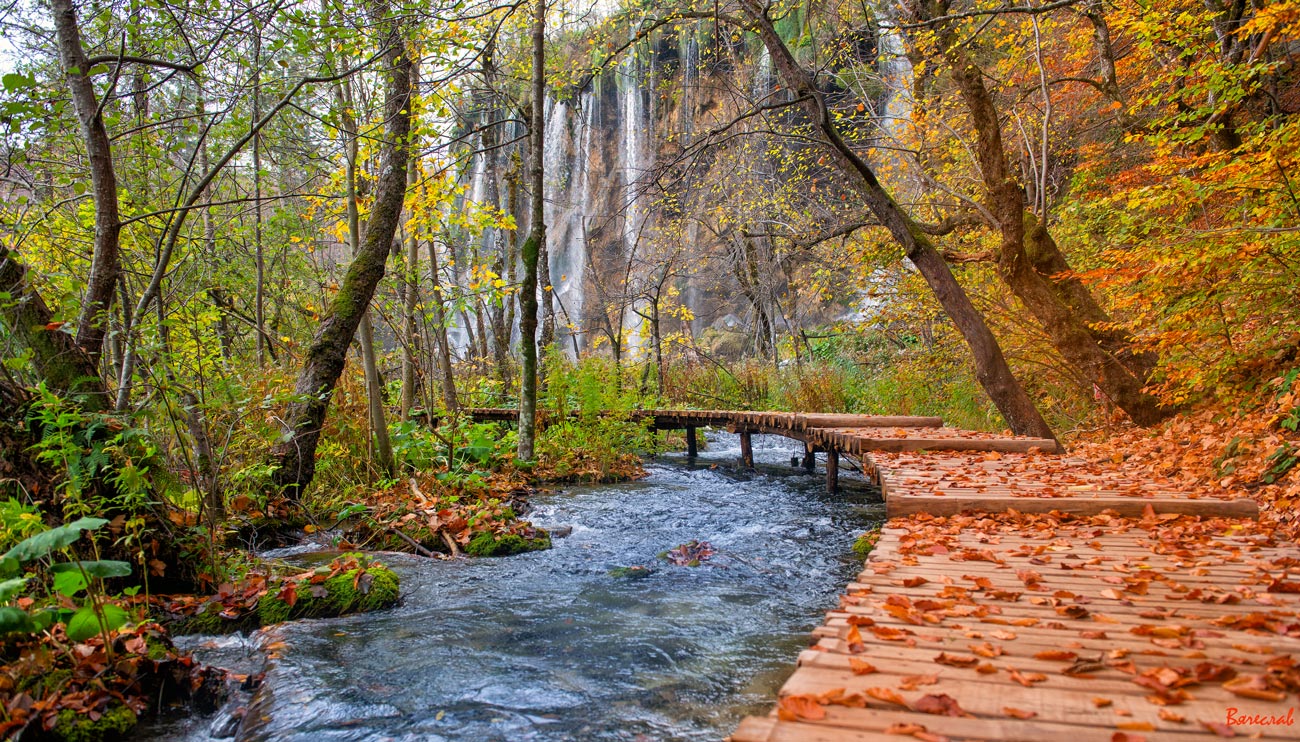 Запах осени