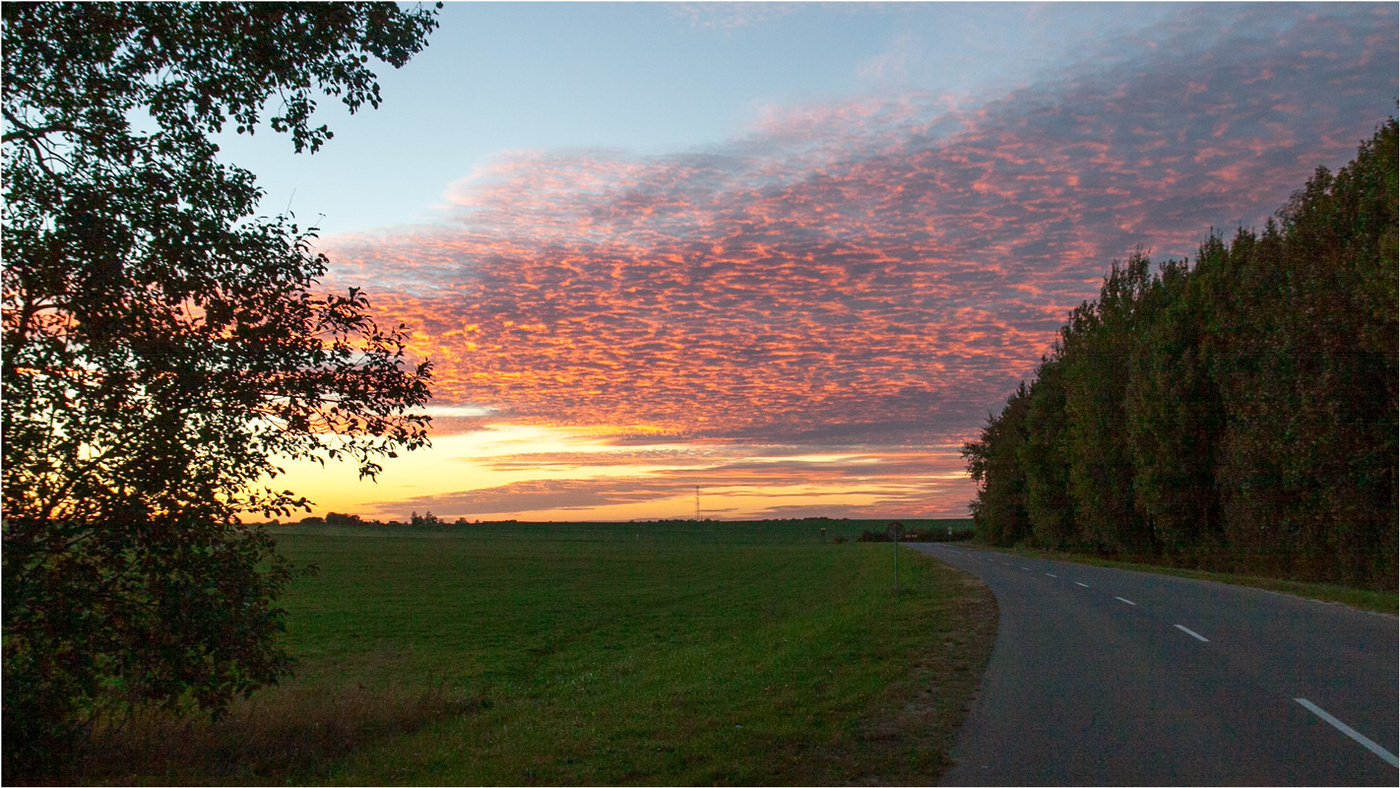 Запах осени
