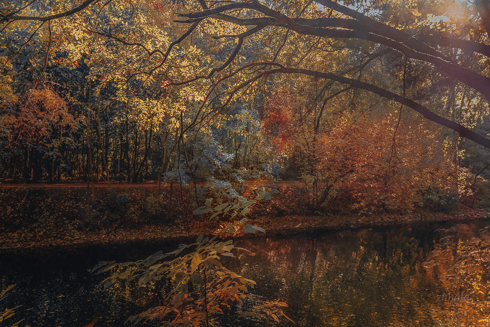 Запах осени