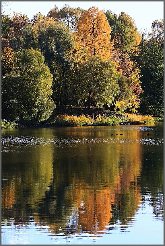 Запах осени