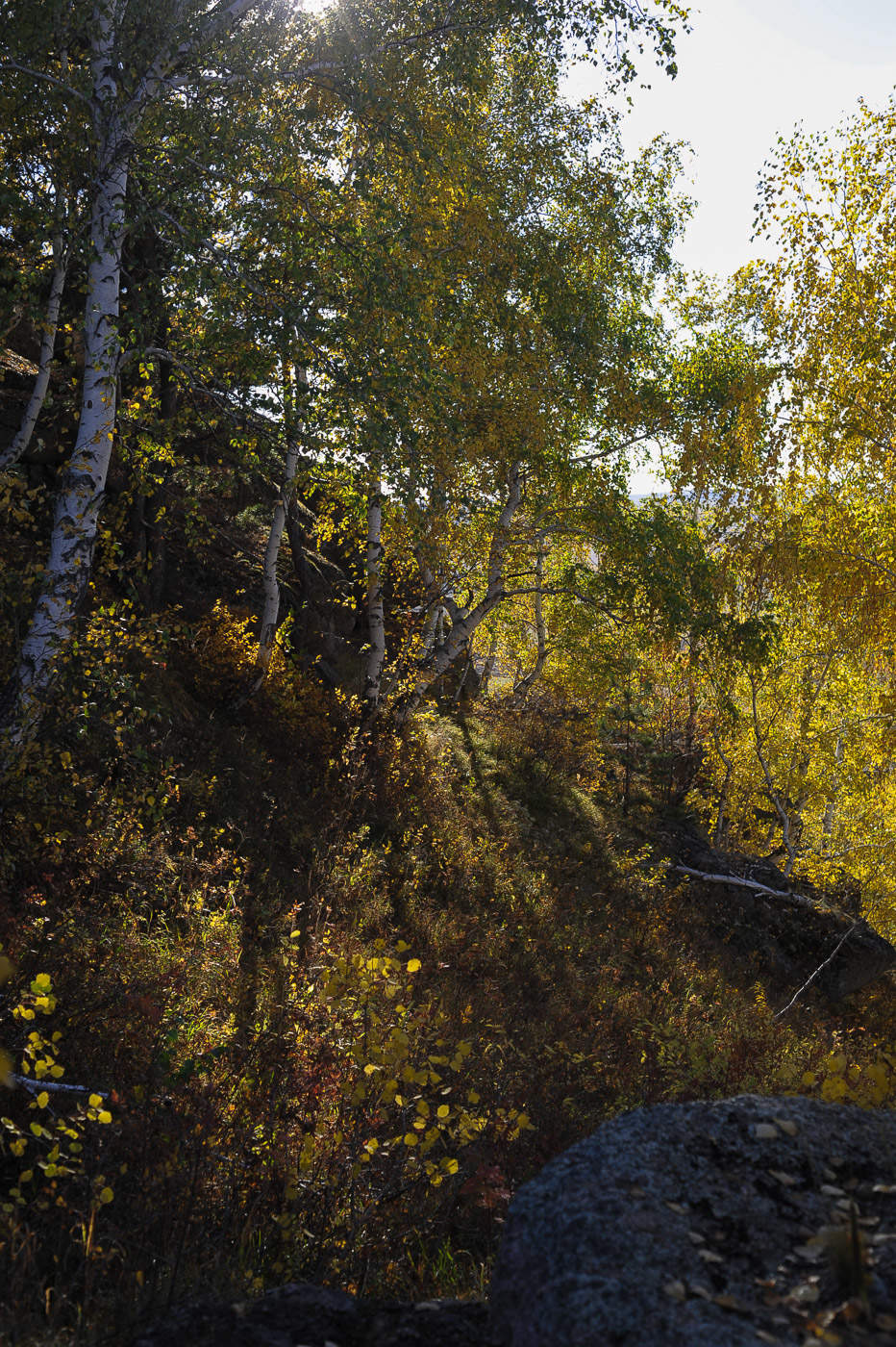 Запах осени