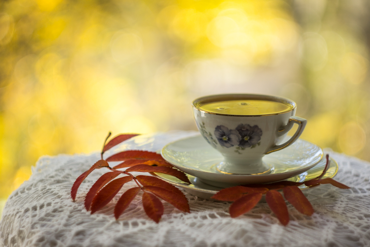 Запах осени