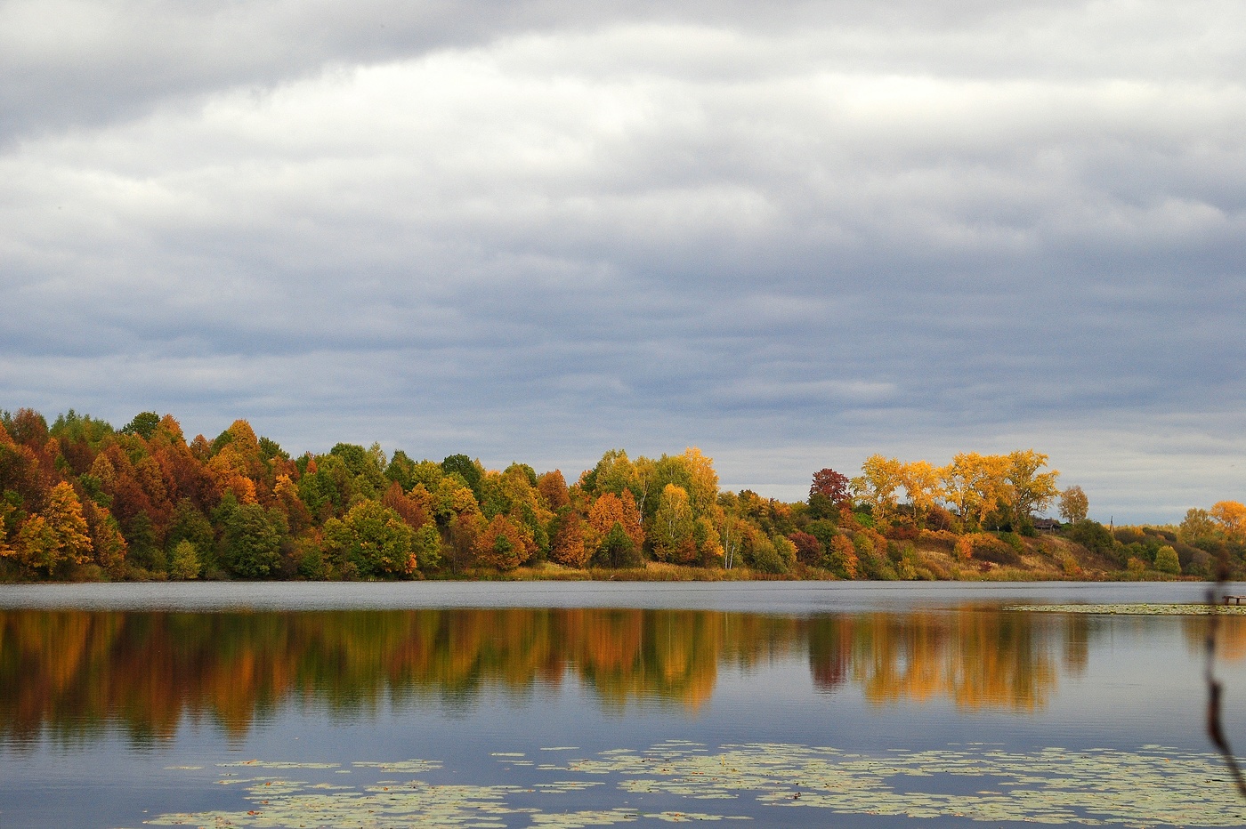 Запах осени