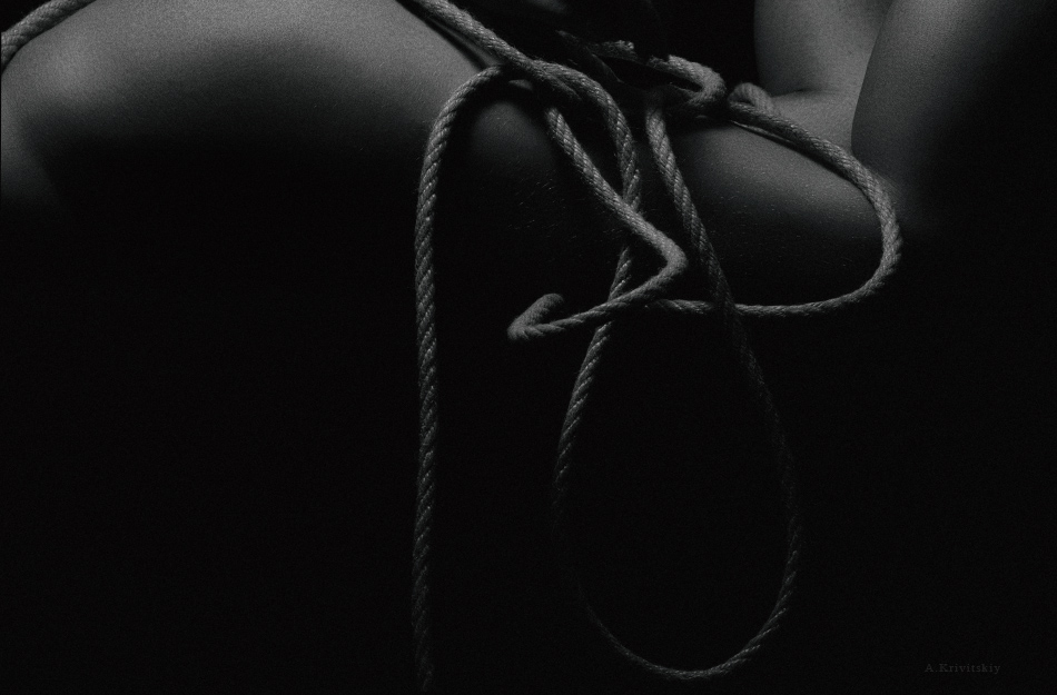 Composition to create a still life. (winter period). I am looking for a body.