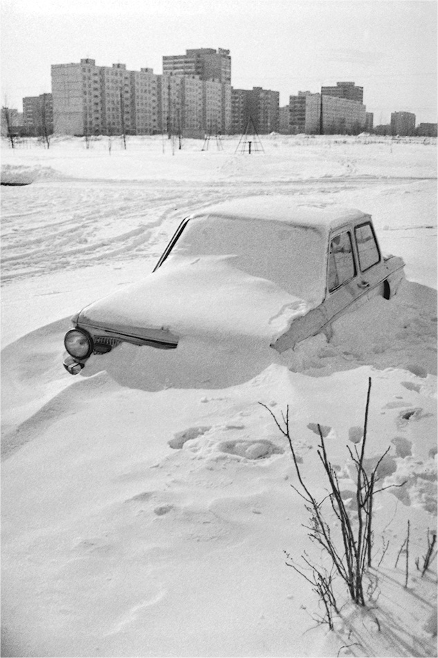 Про "ушастого"