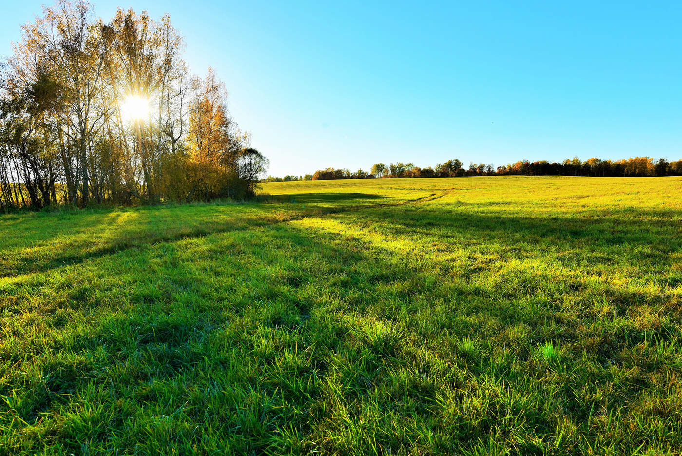 "Осенней неги поцелуй ..."