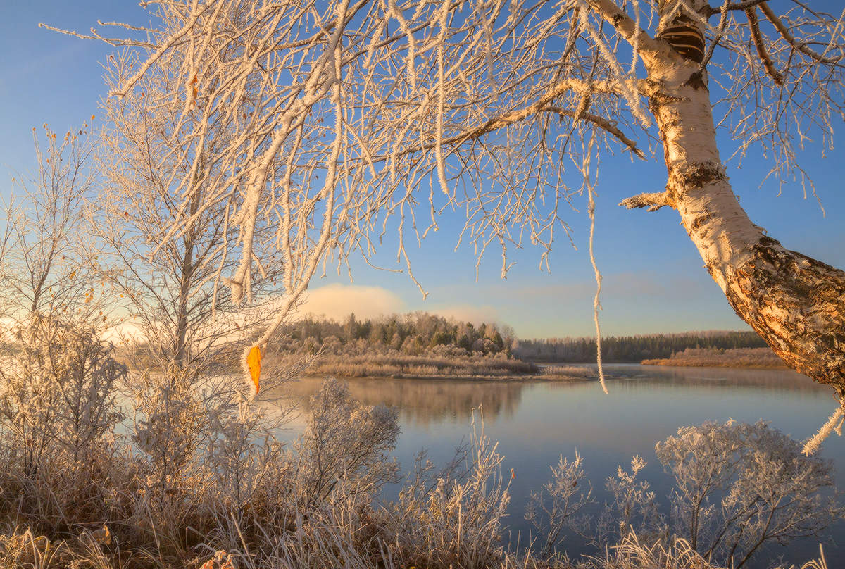 Первые заморозки