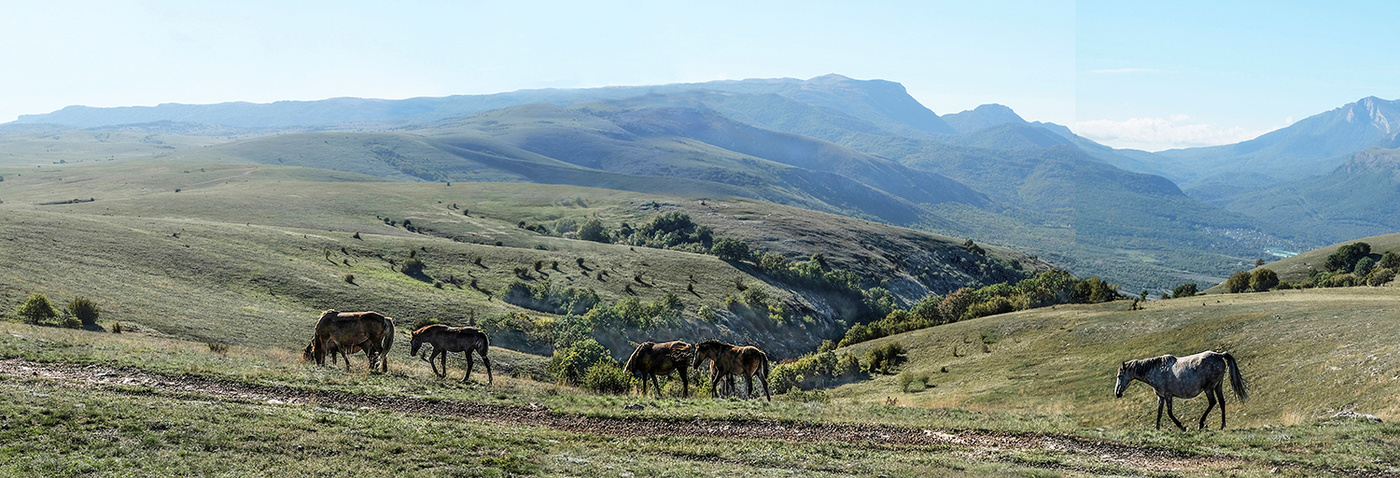 Высокогорье