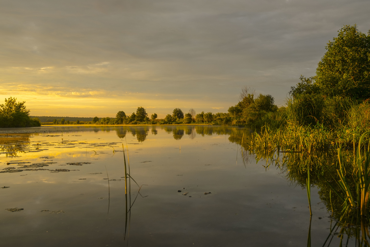 Летнее утро.