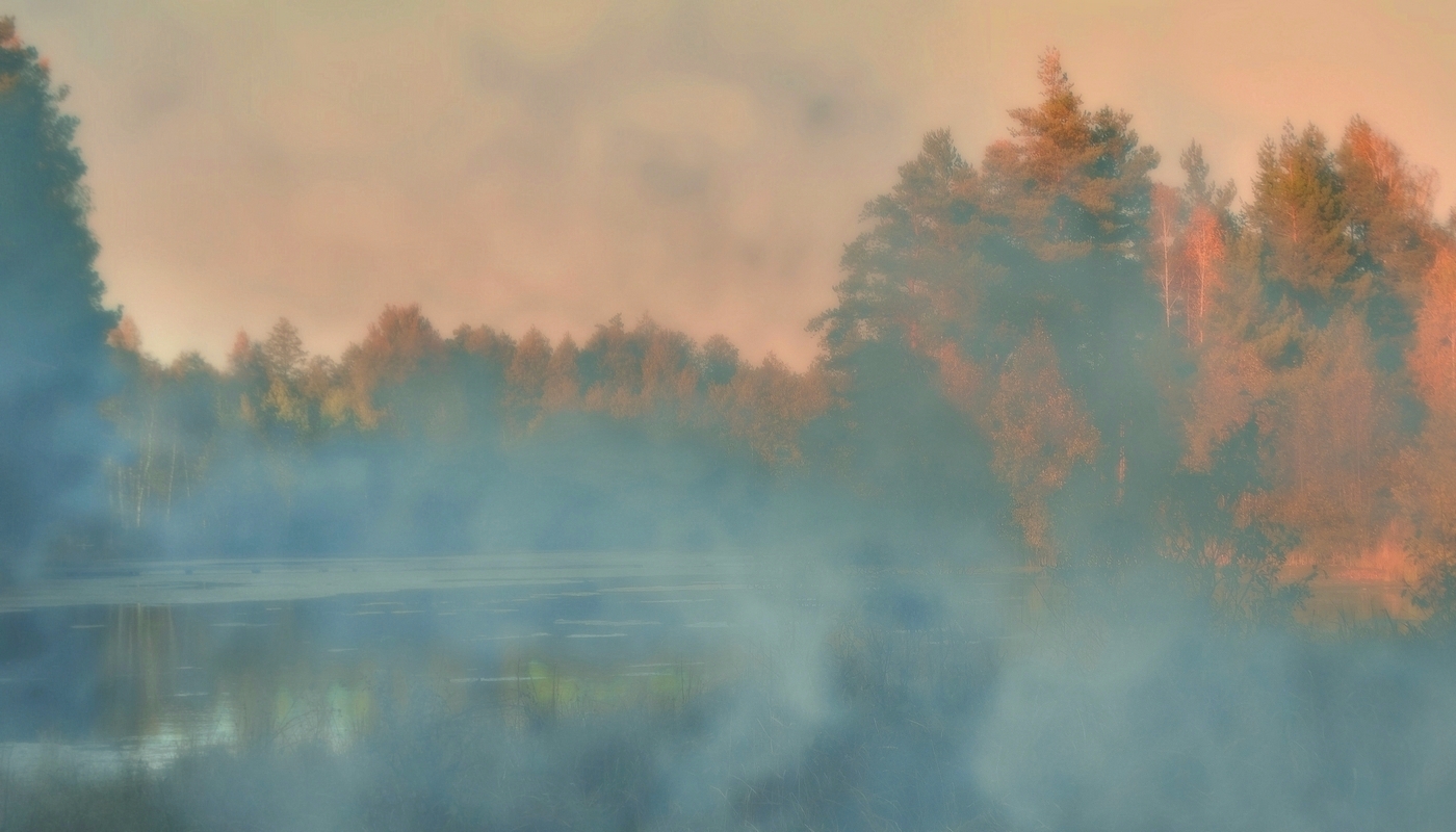 Перед Покровом опустился туман