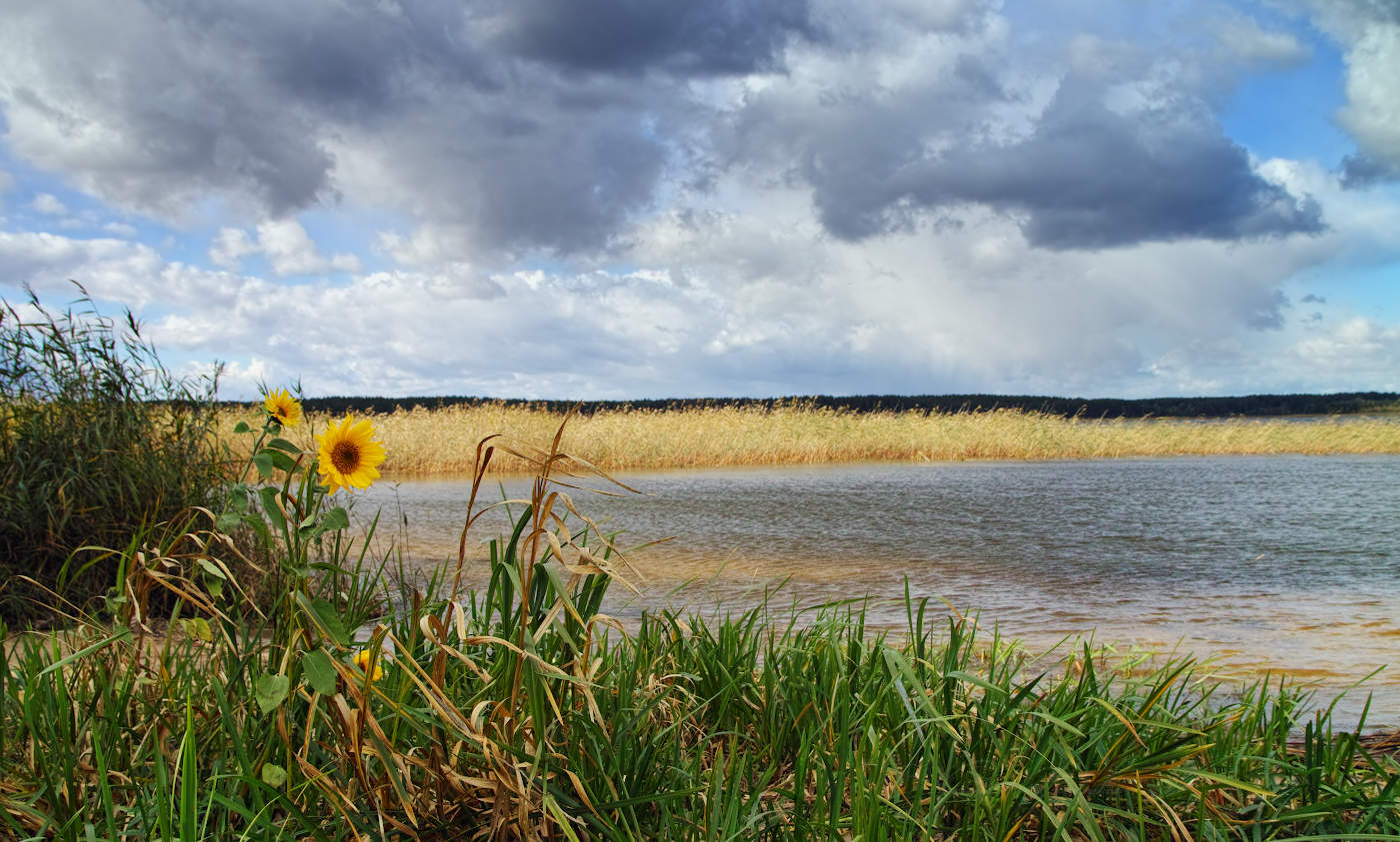 Прощание с тёплыми днями