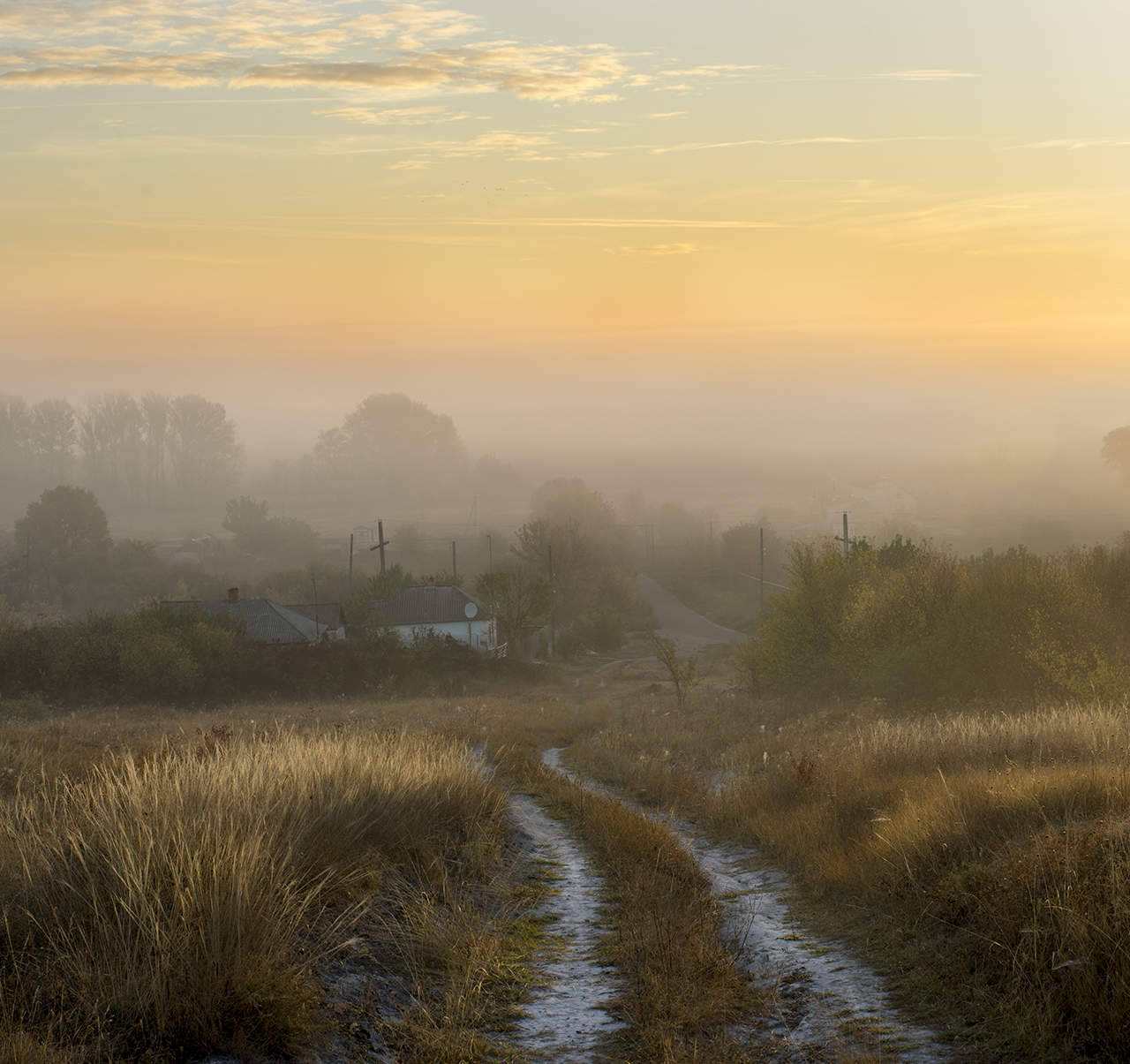 Дорога домой