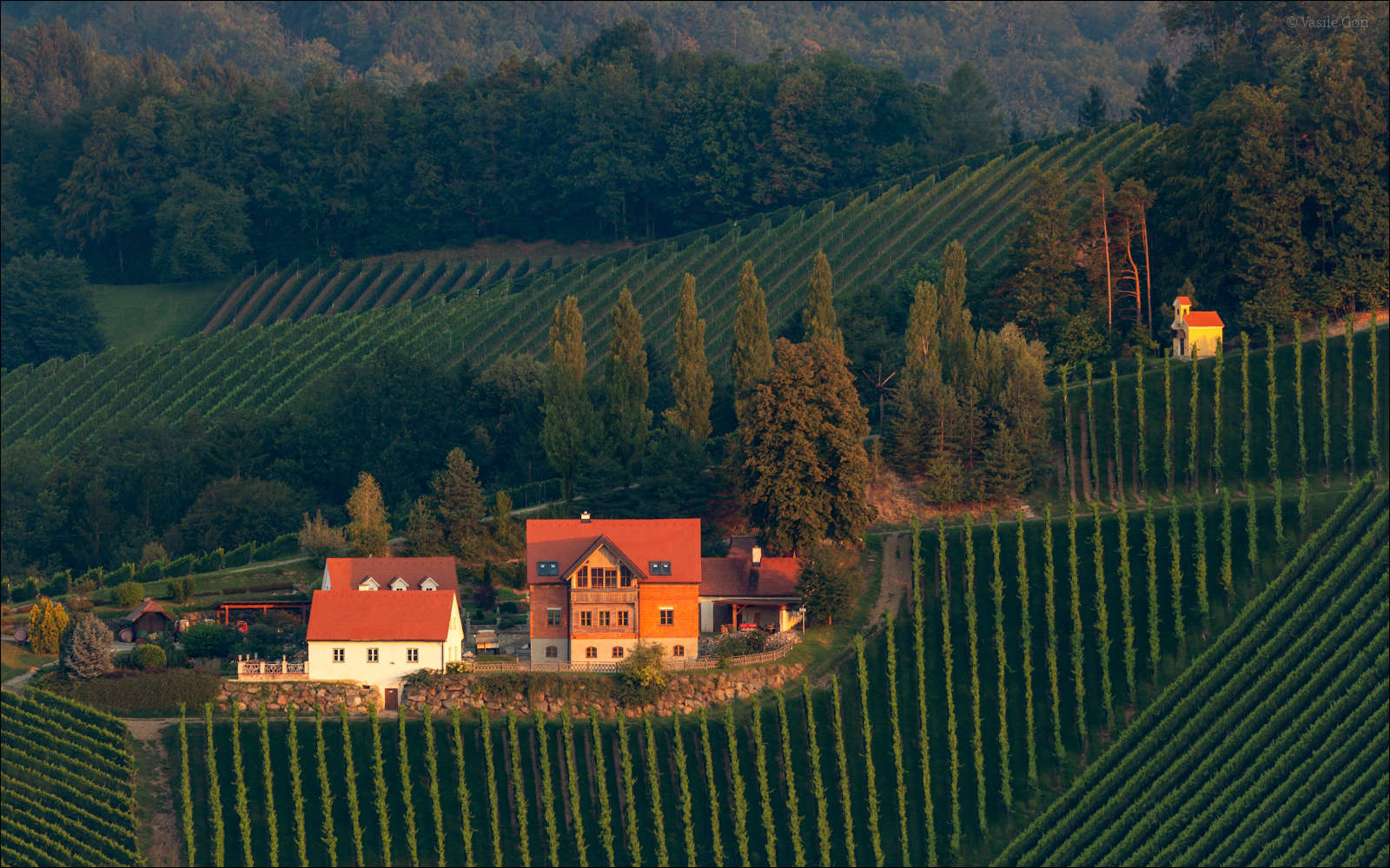 Летний этюд