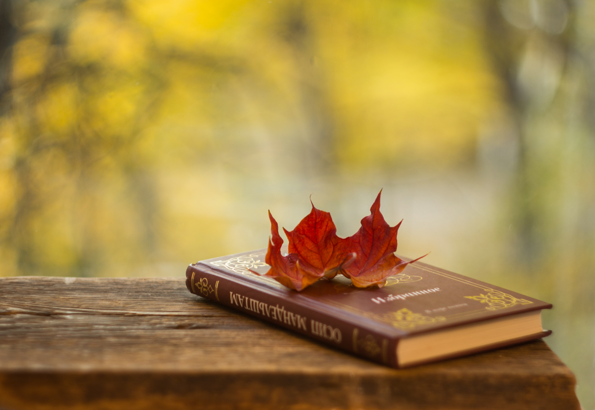 кленовый лист...