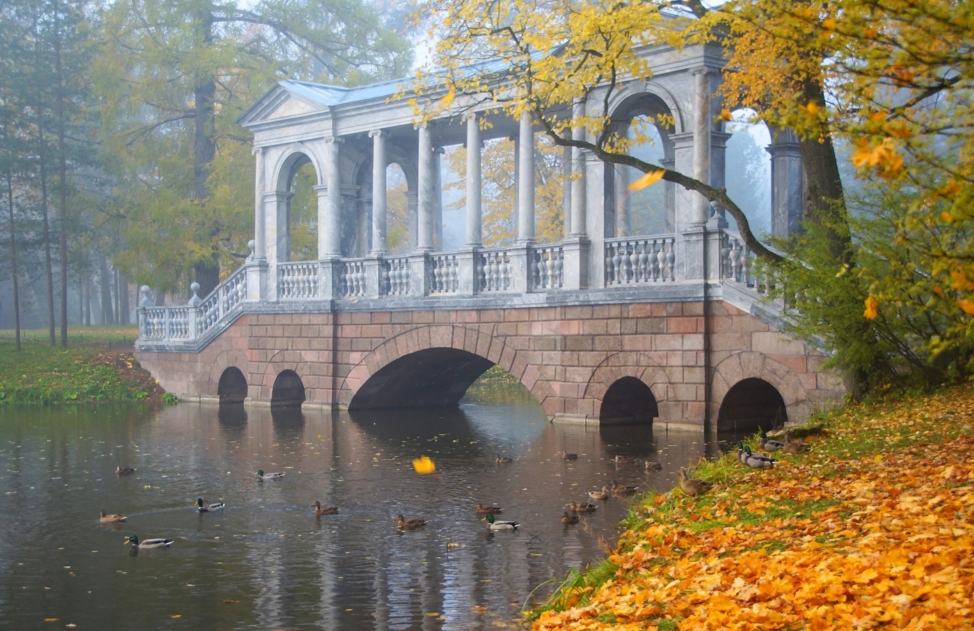 Вчера утром...