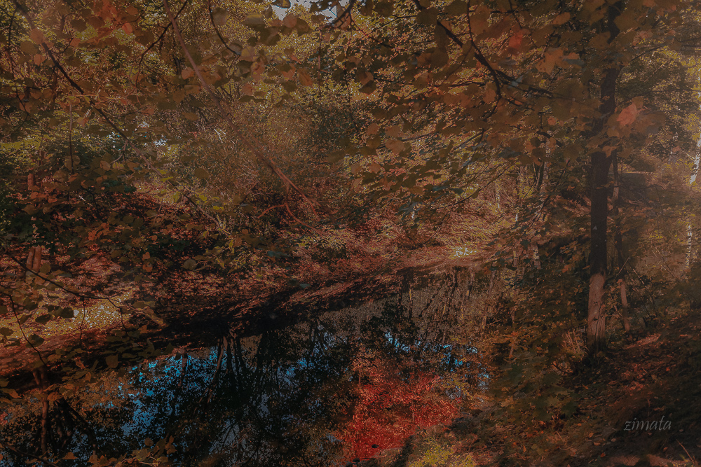 осенняя картинка