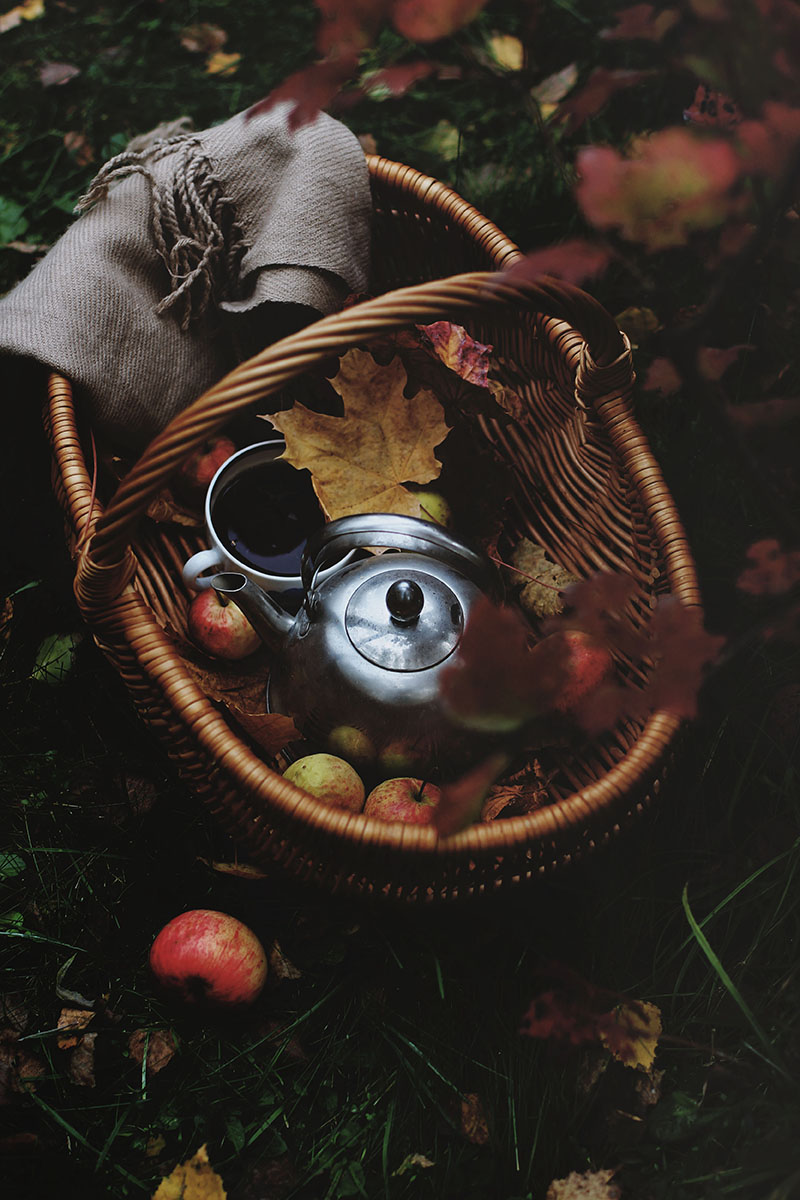 Осень приходила ко мне на чай...