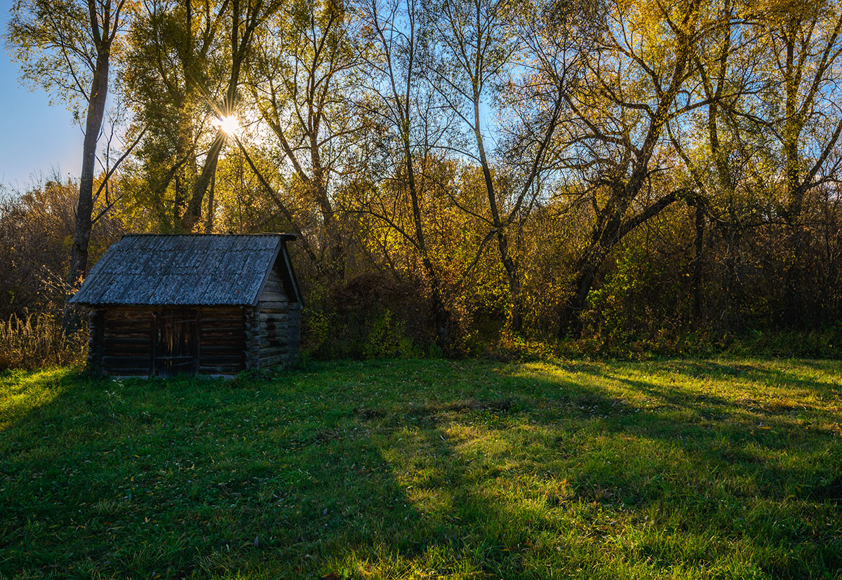 Без названия...