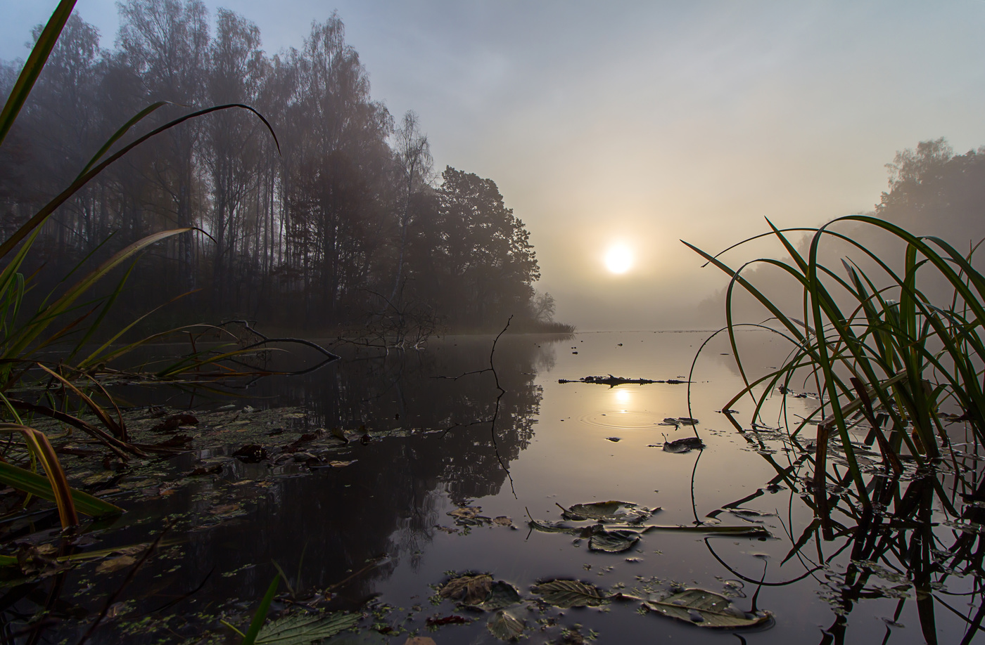 Утро туманное...